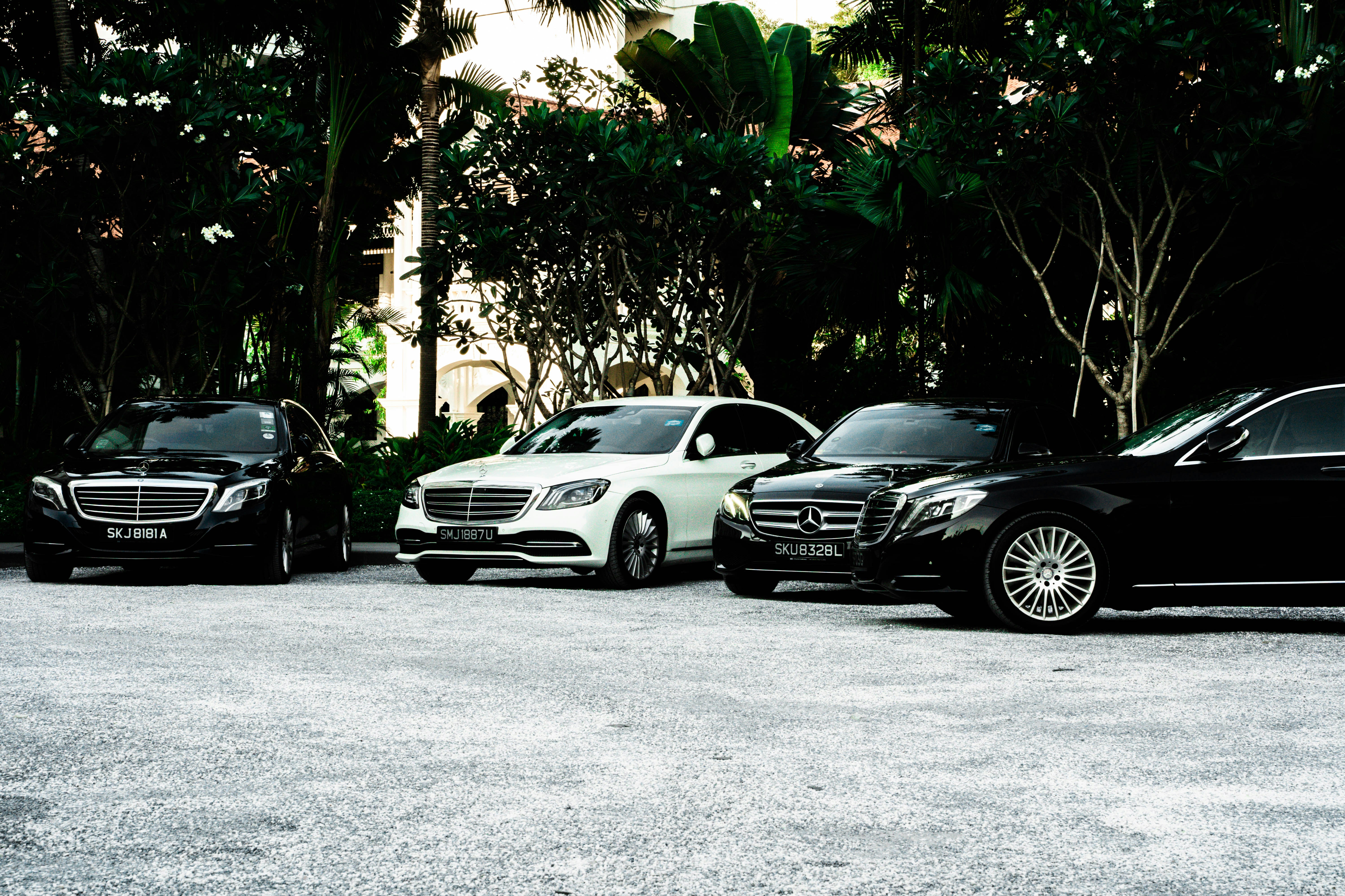 Premium Luxury Sedan - BMW 7 Series